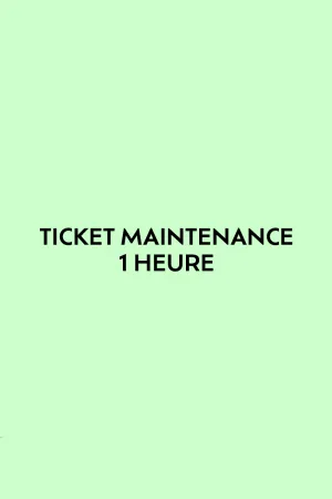 Ticket 1 heure de maintenance
