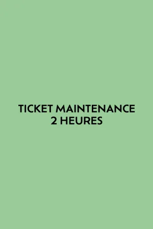 Ticket 2 heures de maintenance