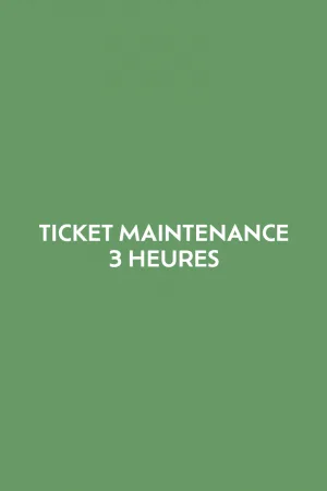 Ticket 3 heures de maintenance