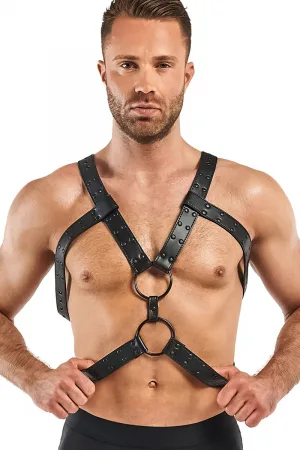 Harnais de bondage Rocco - Bedroom Fantasies